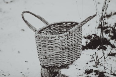 Vahşi böğürtlen ve mantarlar için hasır sarmaşık köylü bakkal antika antika sepeti