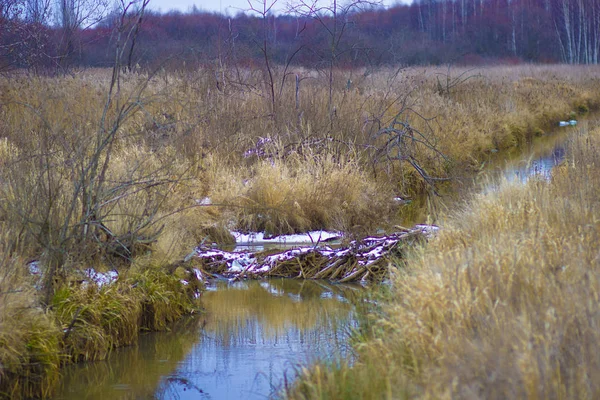 Ένα Μικρό Στενό Ποτάμι Νερό Στο Χειμερινό Ρωσικό Πεδίο — Φωτογραφία Αρχείου