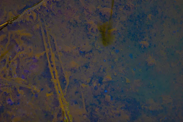 Pequeño Río Estrecho Con Agua Campo Invierno Ruso —  Fotos de Stock