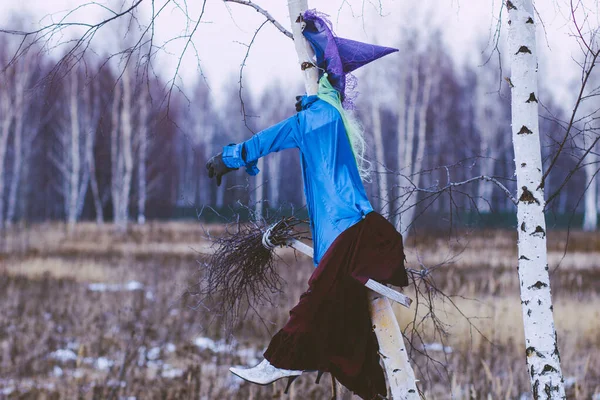 Märchen Baba Yaga Auf Einem Besen Einem Baum Einem Winterfeld — Stockfoto