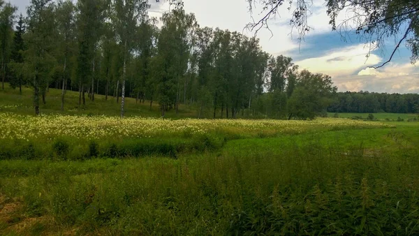 Schilderachtige Prachtige Natuur Russische Outback Bossen Velden — Stockfoto