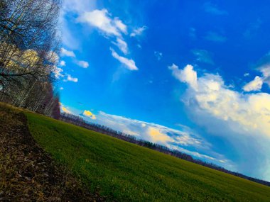 Geniş bir Rus tarlasında bahar yeşili çimenler