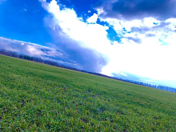 Voorjaar Groen Gras Een Breed Russisch Veld — Stockfoto