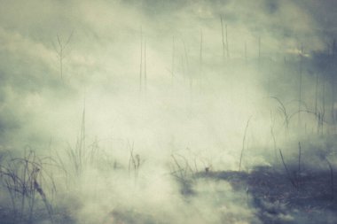 Geçen senenin çimlerini yakmak - alevler ve duman