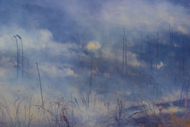 Geçen senenin çimlerini yakmak - alevler ve duman