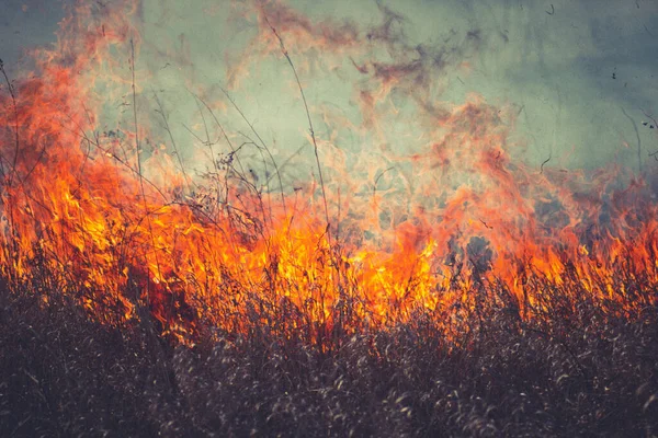 Quema Hierba Seca Año Pasado Llamas Humo Campo — Foto de Stock