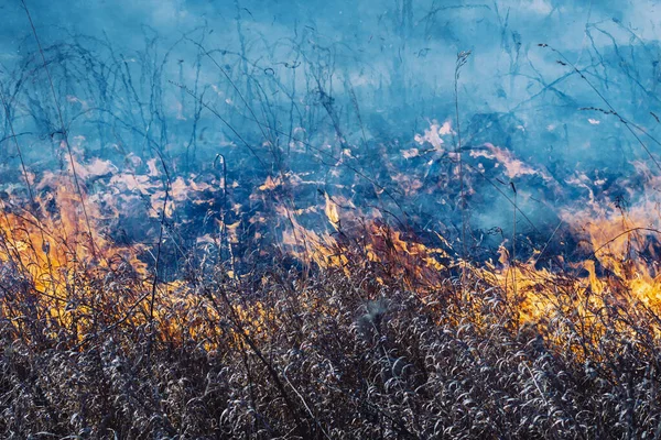 Brinner Torrt Förra Årets Gräs Lågor Och Rök Fältet — Stockfoto