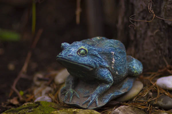 정원의 장식용 세라믹 개구리 — 스톡 사진