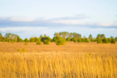 Baharda yanan turuncu gün batımı