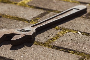 Paslı, ayarlanabilir keçiboynuzu retro anahtarı.