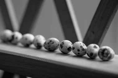 Köy masasında küçük bıldırcın yumurtaları