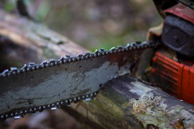 Testereli, kamuflajlı genç bir oduncunun elleri.