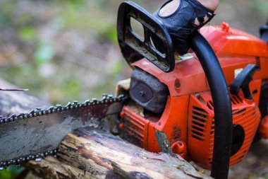 Testereli, kamuflajlı genç bir oduncunun elleri.