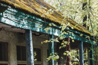 Karışık bir ormandaki terk edilmiş turist dinlenme merkezi.