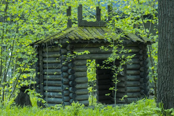 Centro Recreación Turística Destruido Abandonado Bosque Mixto — Foto de Stock