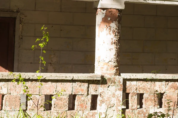 Centro Recreación Turística Destruido Abandonado Bosque Mixto — Foto de Stock