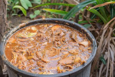 Mutfak ve bahçedeki organik atıklar için küçük bir gübre kutusu..