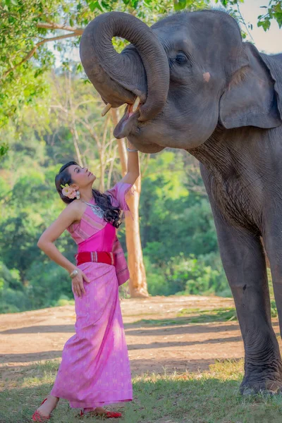 Prachtige Thai Vrouwen Dragen Traditionele Thaise Kleding Staande Een Olifant — Stockfoto