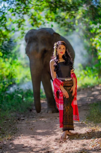 Beautiful Thai Women Wearing Traditional Thai Clothes Standing Elephant Nature — Stock Photo, Image