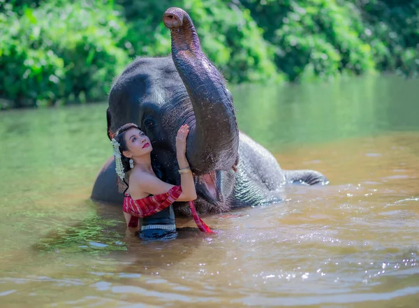 Prachtige Thai Vrouwen Dragen Traditionele Thaise Kleding Staande Een Olifant — Stockfoto