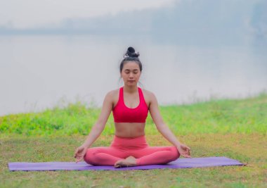 Güçlü kadınlar göl kenarında zor yoga hareketleri yaparlar..