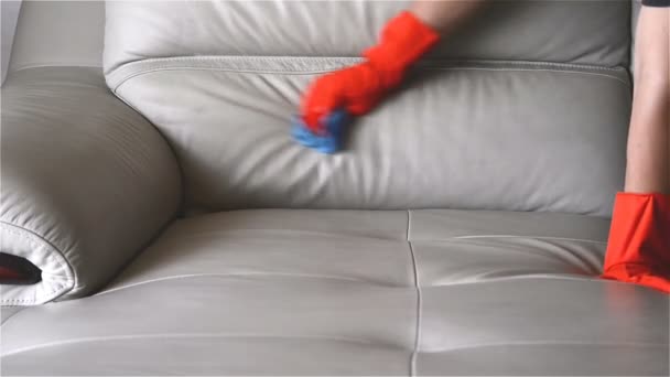 Man Cleaning Leather Sofa At Home