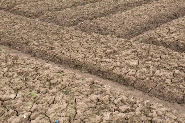 Lahan dibudidayakan siap untuk menabur — Stok Foto