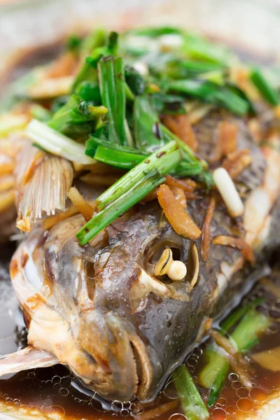 Peixe inteiro cozido no vapor fresco coberto com ervas cebolas e molho de perto — Fotografia de Stock