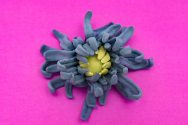 el mor bir arka plan üzerinde çiçek yapımı