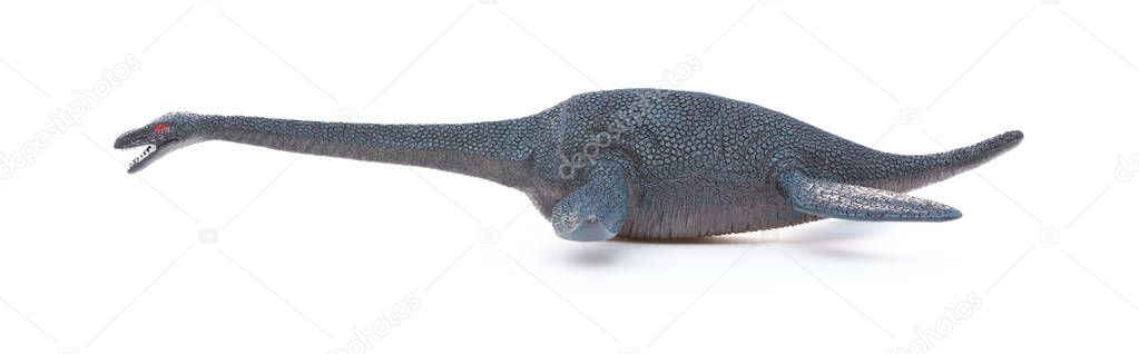 side view plesiosaurus on a white background