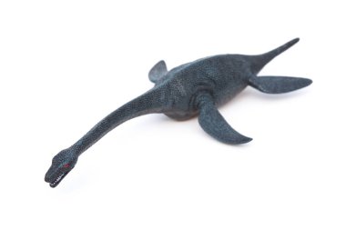 Plesiosaurus beyaz bir arka plan üzerinde