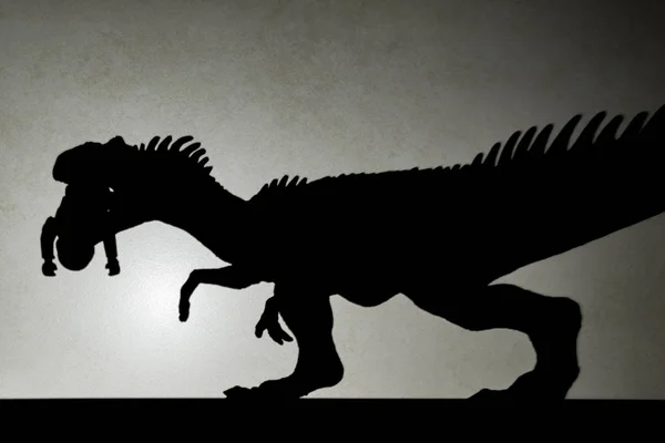 Schatten von Allosaurus beißt Körper an Wand ohne Logo oder Marke — Stockfoto