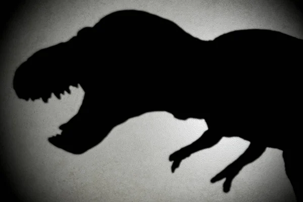 Tyrannosaurus-Schatten mit Spotlicht im Dunkeln — Stockfoto