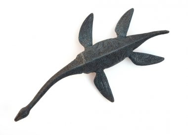 yan görünümü plesiosaurus beyaz bir arka plan üzerinde