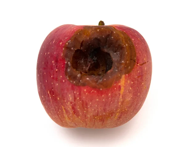 在白色背景上有一个大洞的烂苹果 — 图库照片