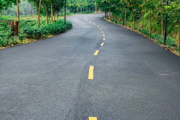 Road with trees on both sides — Stock Photo, Image