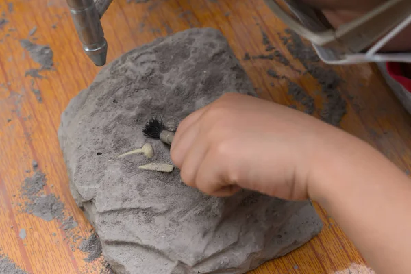 Kid excavating Spinosaurus bones from a rock — Stock Photo, Image