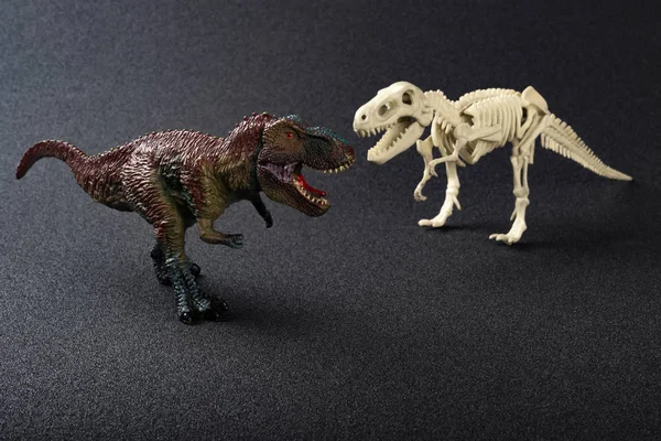 Juguete tyrannosaurus y esqueleto tyrannosaurus sobre un fondo oscuro —  Fotos de Stock