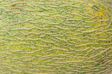 desen yeşil hami kavun