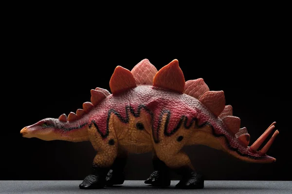 Side view brun stegosaurus leksak på en mörk bakgrund — Stockfoto