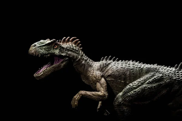 Allosaurus on a dark background — Stock Photo, Image