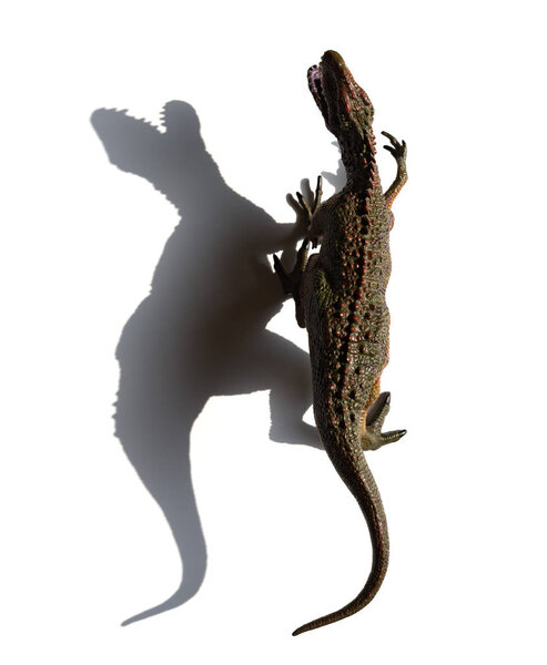 top ivew Carcharodontosaurus toy with shadow on a white background