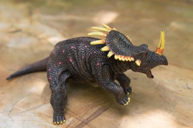 kaya üzerinde gri triceratops oyuncak duran