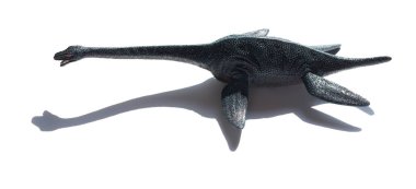 Plesiosaurus gölge beyaz bir arka plan üzerinde