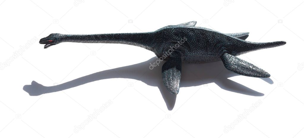 plesiosaurus with shadow on a white background