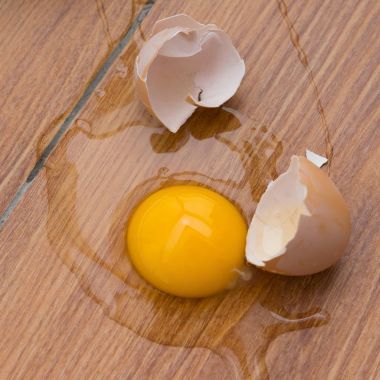 Kattaki kırık yumurta