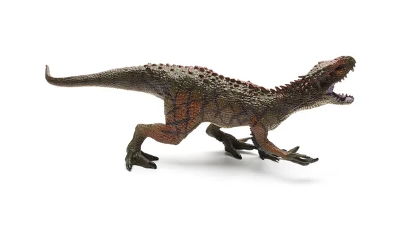 Juguete Carcharodontosaurus vista lateral sobre un fondo blanco —  Fotos de Stock