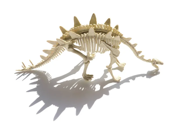 Esqueleto de stegosaurus com sombra sobre um fundo branco — Fotografia de Stock