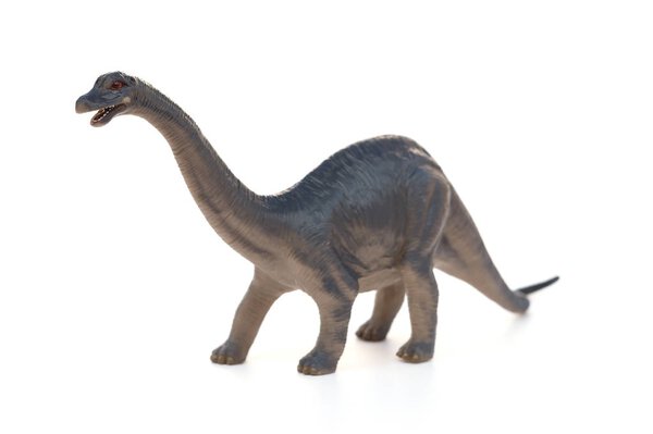 Diplodocus toy on a white background