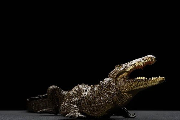 Игрушка алигатора на чёрном фоне — стоковое фото